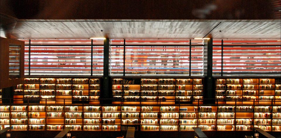 biblioteca-reina-sofia-2