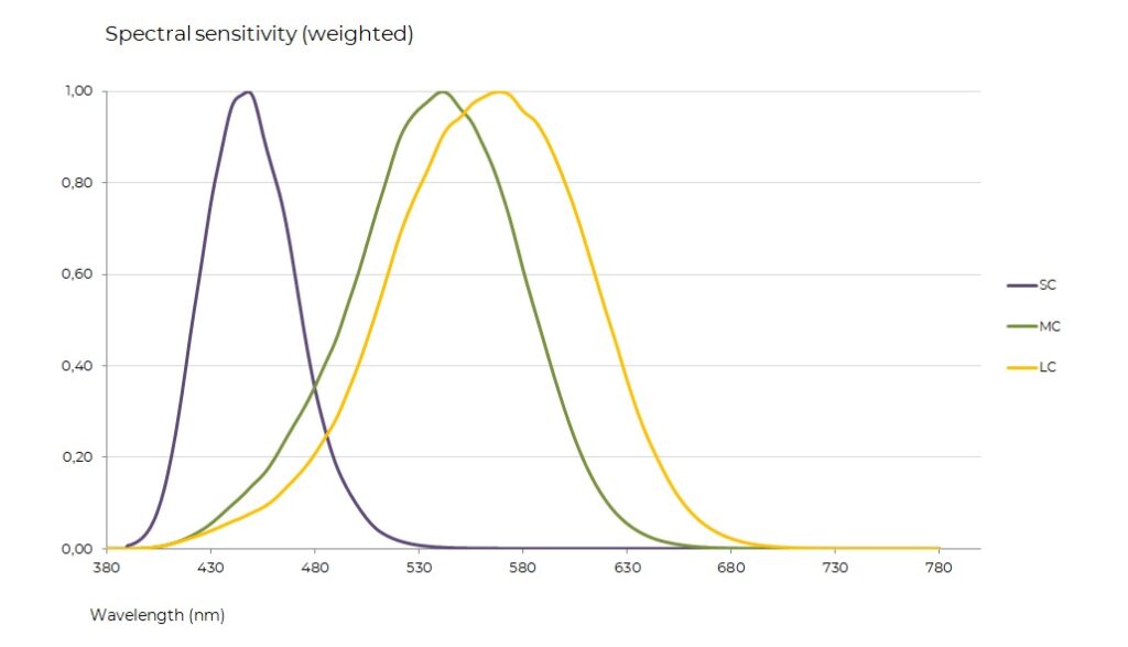 Gráfico en forma de herradura (o lengua de gato) sobre un fondo negro, que representa el espacio de color visible. El diagrama muestra un degradado continuo de colores, desde el azul profundo en la parte inferior, pasando por el verde intenso en la parte superior y el rojo en el lado derecho. En el borde curvo se indican longitudes de onda en azul, como 460, 480, 500, 520, 540, 560, 580, 600 y 620 nm.
